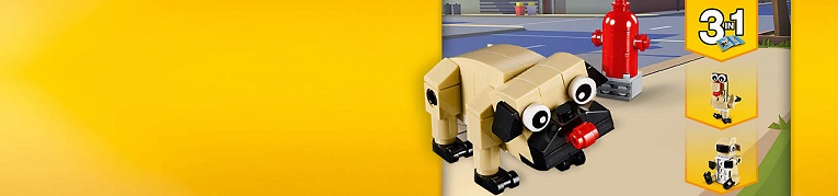 30542-cute-pug--201903--na--shortened-landing-background--large