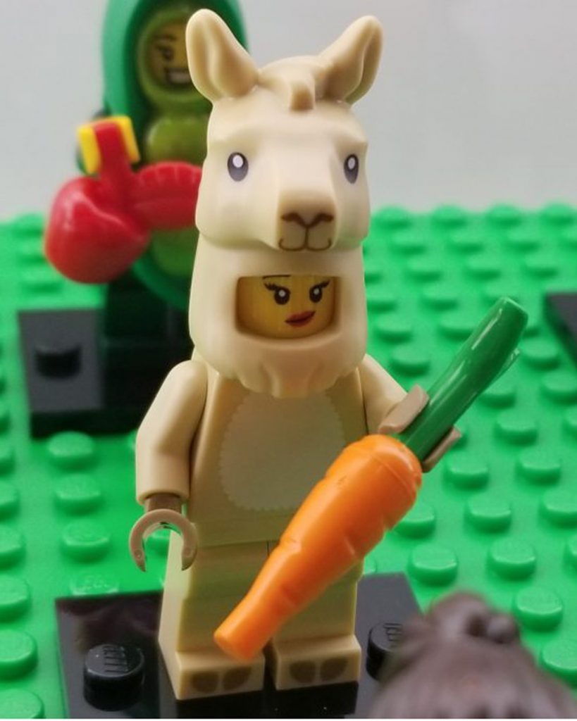 71027 llama girl tbb