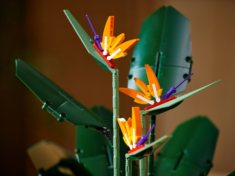 LEGO Creator Expert Birds of Paradise (10289) Now Listed at LEGO Shop@Home