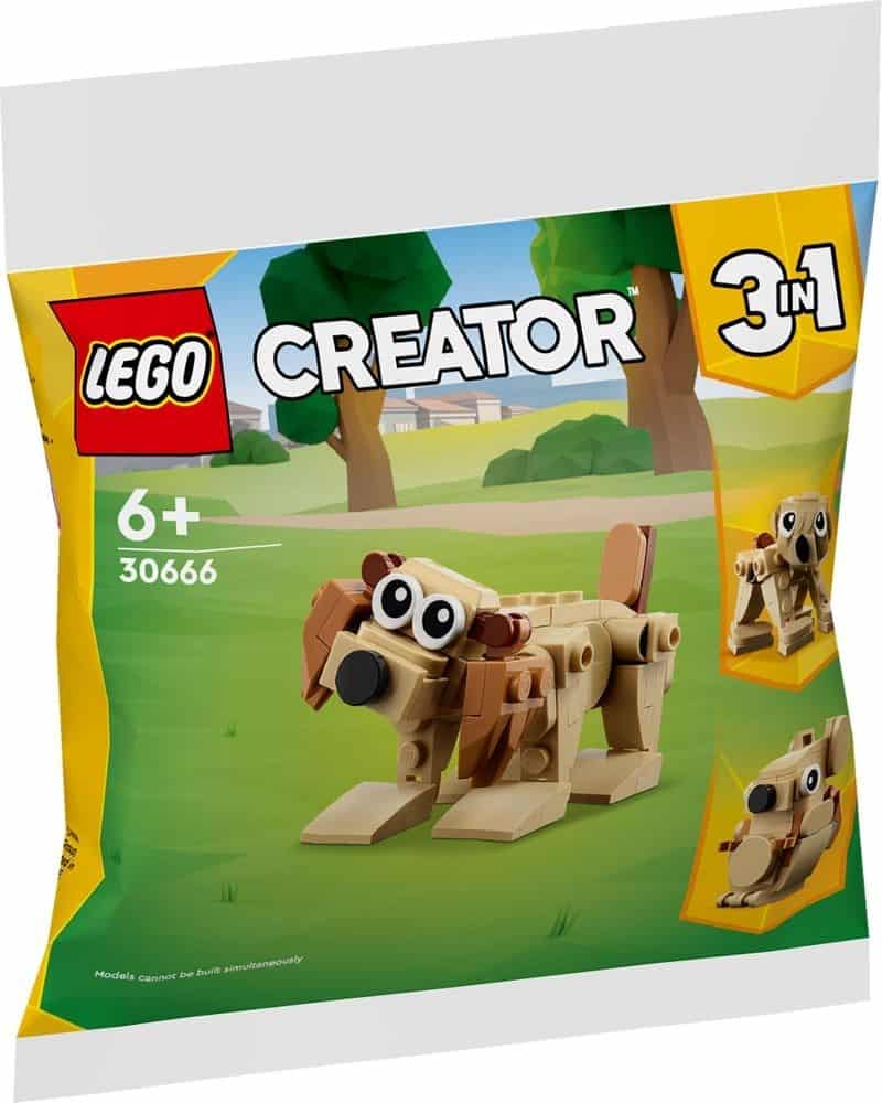 A Glimpse into the LEGO Polybags 2024 Collection Exclusive Reveals